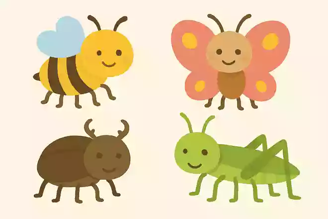 昆虫の足の本数はいくつ?