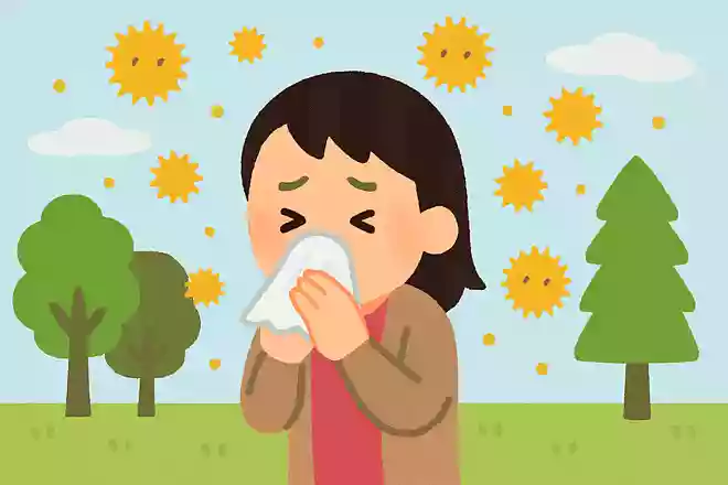 花粉症の原因となる花粉は1年中飛んでいる