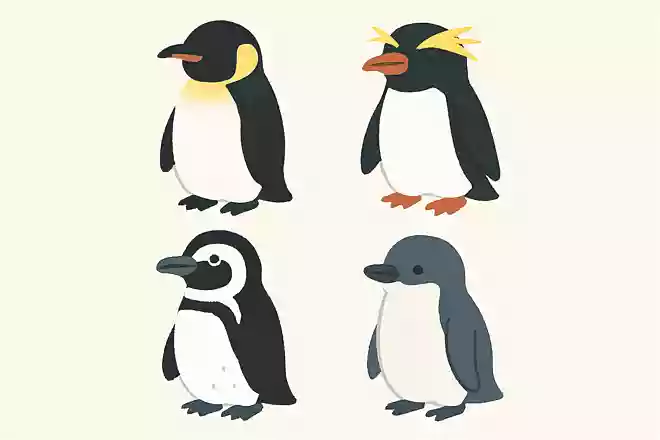 ペンギンは何類?
