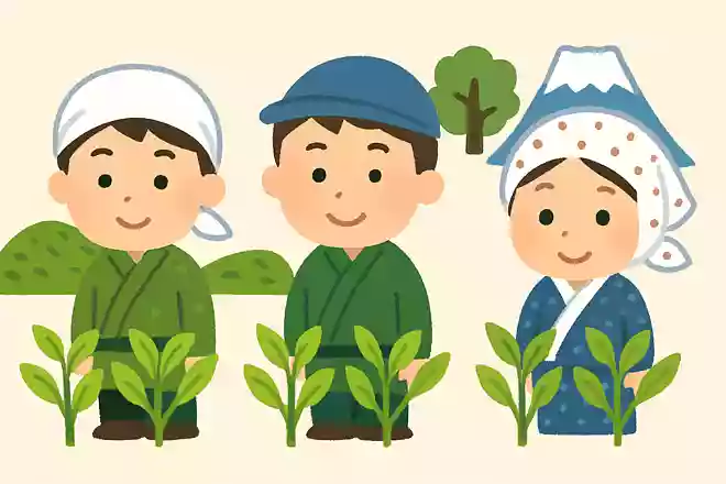 日本の三大銘茶は宇治茶、狭山茶、もうひとつは何茶でしょう?