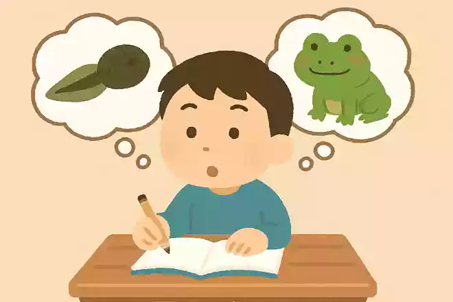 オタマジャクシがカエルに姿に変わることを何というでしょう?