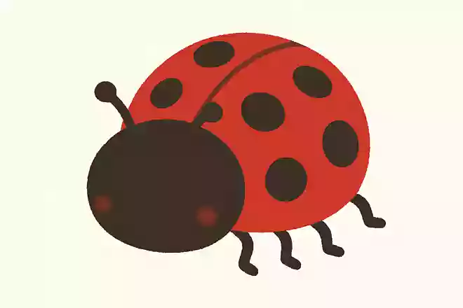 テントウムシの英語「ladybug」は「マリア様の虫」という意味