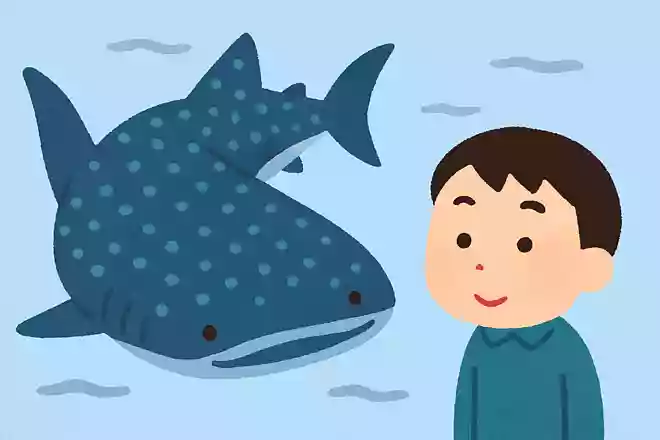世界一大きな魚はどれでしょうか?