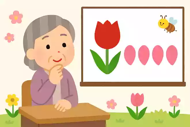 チューリップは何枚の花びらからできているでしょうか?
