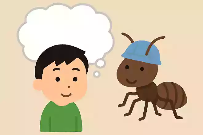 働きアリの性別はどちらでしょうか?