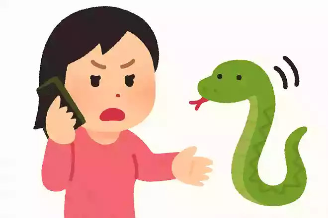 なにやってると思う 驚くなよ 電話をかけてんだコブラ