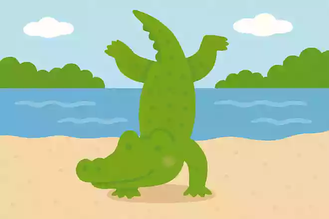 ワニがいつも逆立ちしている場所はどこでしょうか?