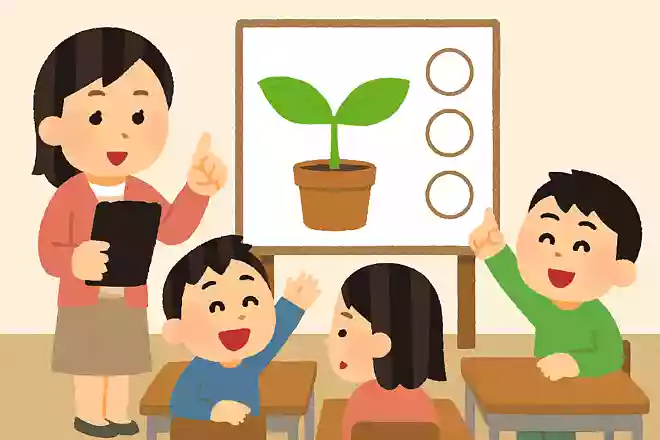 植物が人間と同じように感じるものは何でしょう?
