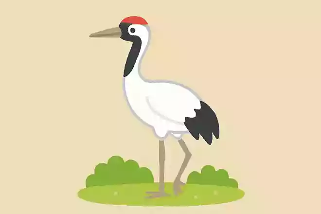 日本の国鳥は何?