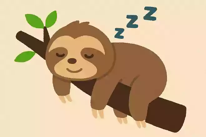 睡眠時間が最も長い動物は何でしょうか?