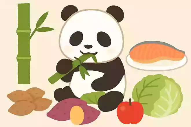 パンダのたべものはどれでしょう?