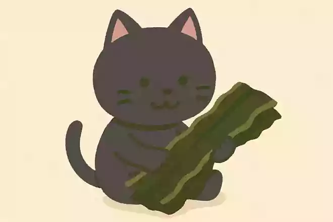 ねこんぶ（根昆布）