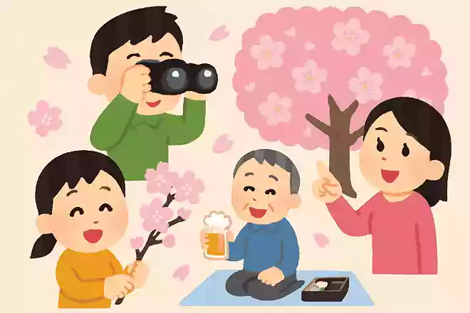 セレッソ大阪の「セレッソ」はスペイン語で「桜」