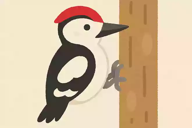 き○○き