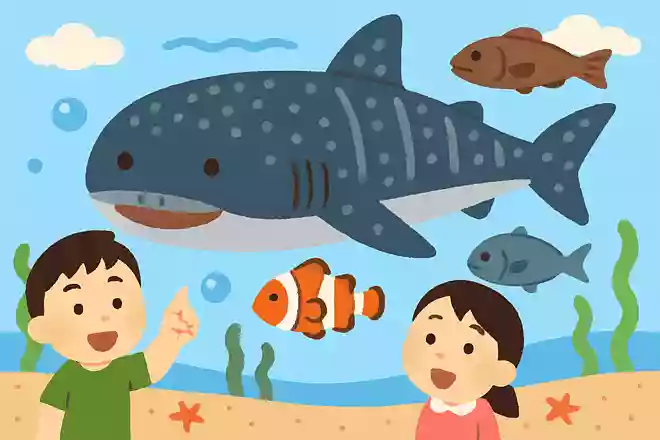 世界一大きな魚は？
