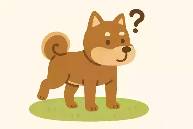 犬にも利き足はある？◯か✗か