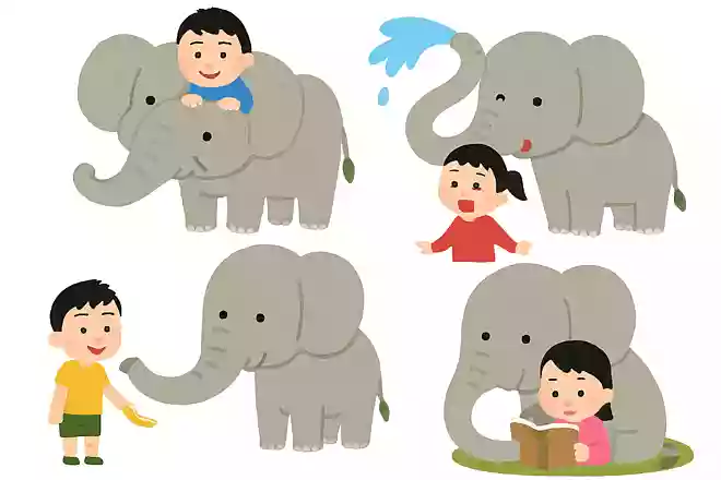 ゾウのながい鼻では何ができるかな?