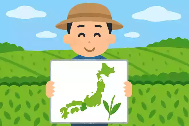 2024年、荒茶の生産ランキングで初めて1位になった都道府県はどこでしょう?