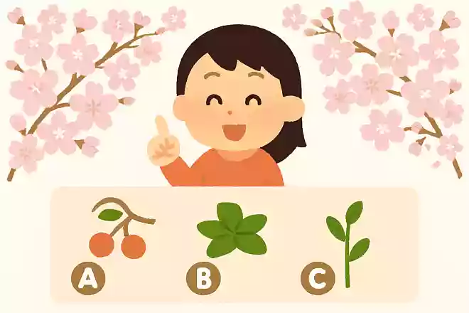 ソメイヨシノはオオシマザクラと何をかけ合わせた桜?