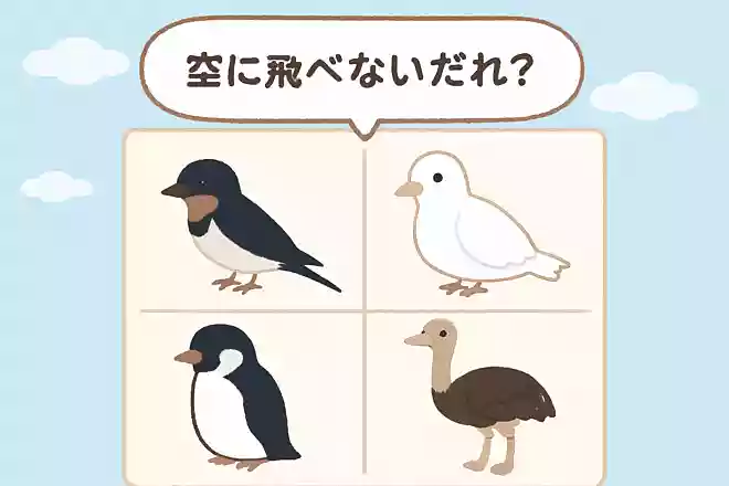 次のうち、空を飛べない鳥はどれでしょう?