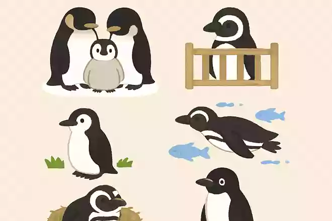 次の内、ペンギンを飼育しているのはどこでしょう?