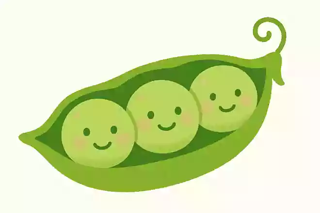 豌豆