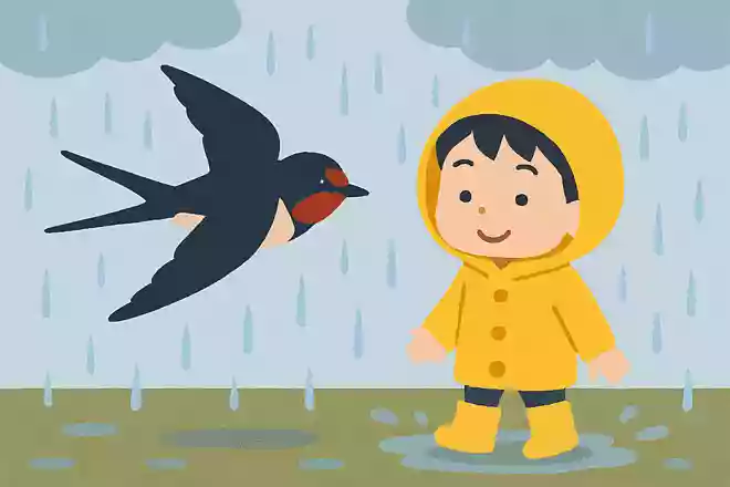 「〇〇〇が低く飛ぶと雨」