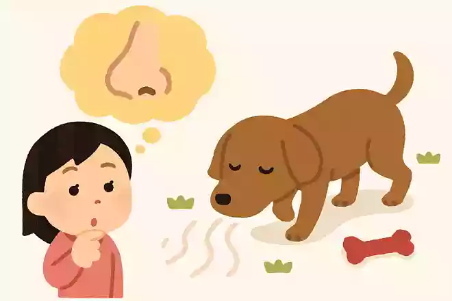 犬の嗅覚が優れている理由は?