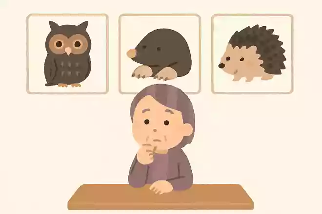 夜行性、モグラの仲間、トゲトゲ