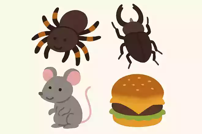 タランチュラは以下のうち、何を食べるでしょうか。
