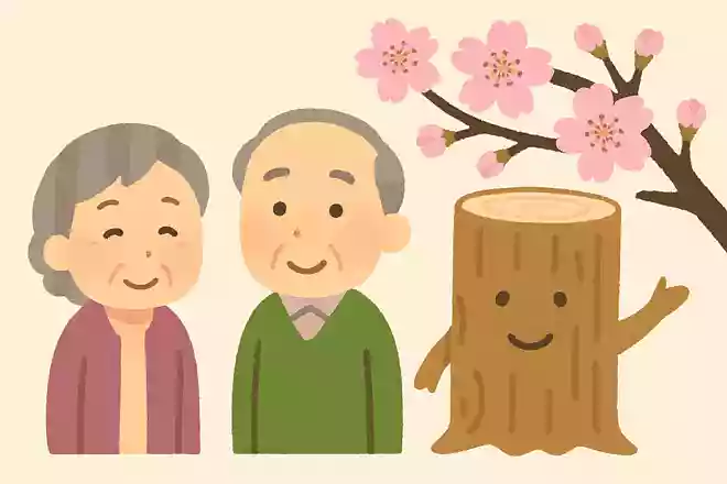 花見のイメージが強い桜ですが、木材としての桜がもつ特徴は何でしょうか?