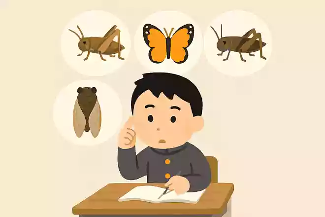 鈴虫、ちょうちょ、セミ、コオロギの中で仲間はずれはどれ?