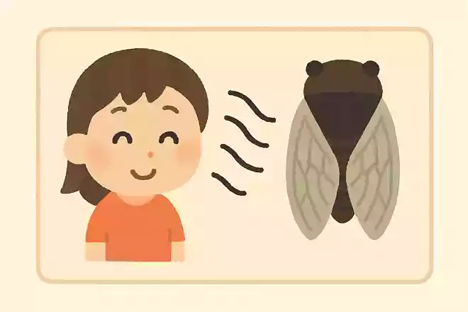 セミの鳴き声について、正しいのはどれでしょう?