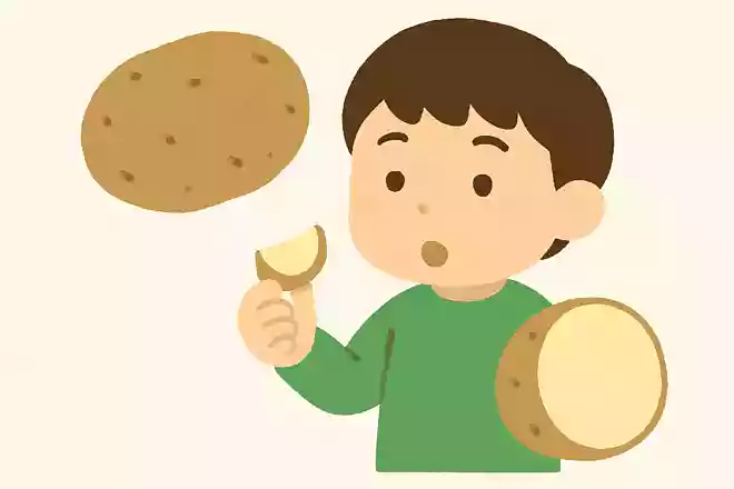 じゃがいもはどこの部分を食べているでしょう？