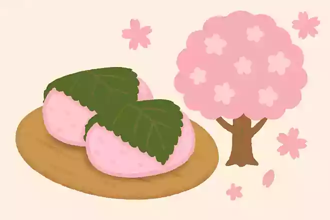 桜餅に使われる葉っぱは「オオシマザクラ」という桜の葉っぱ