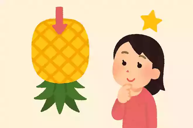 パイナップルは逆さに保存すると甘みが増す