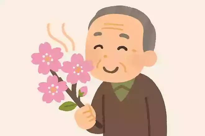 桜の香りにはどのような効果があるのでしょうか。