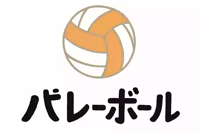 バレーボール、漢字でどう書く?