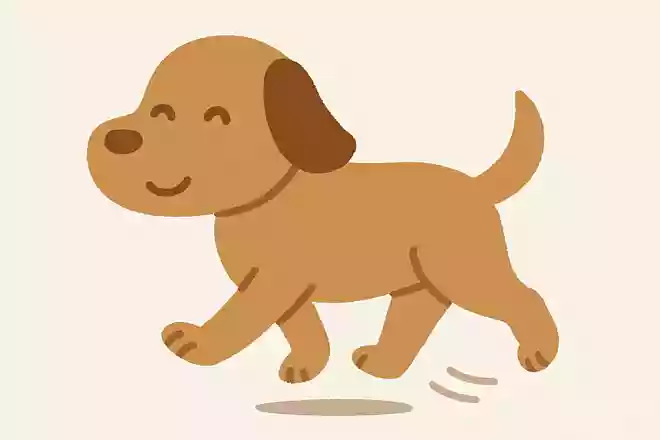 犬が歩くときの特徴は?