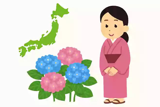あじさいの原産国は日本