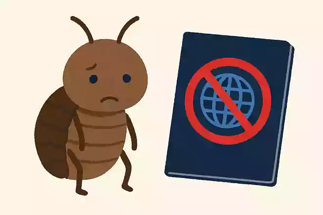 外国に旅行できない虫は何でしょう?