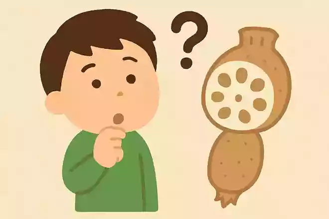 レンコンに穴が空いているのはなぜでしょう?