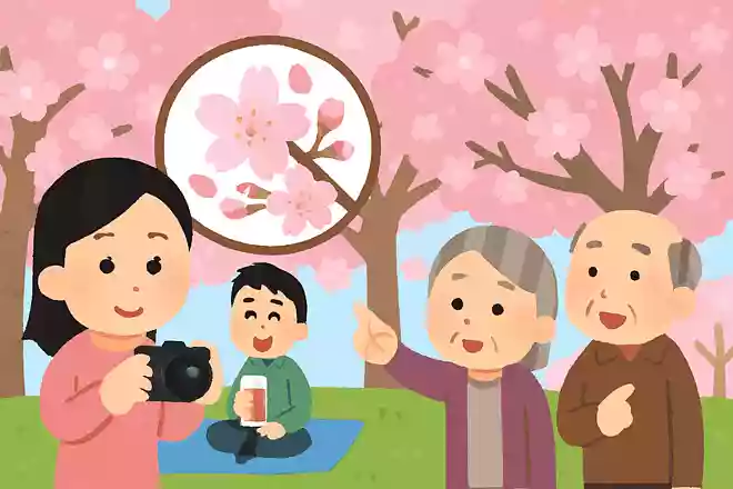 桜の満開の基準は8割以上が咲いた状態
