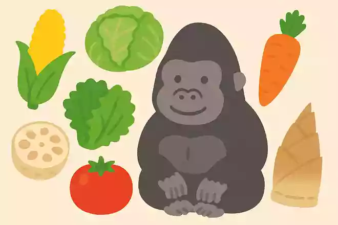 ゴリラが好んで食べるのは以下の内どれでしょうか?
