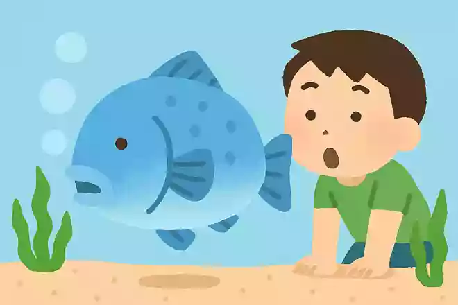 魚はどこで息をしているでしょうか?