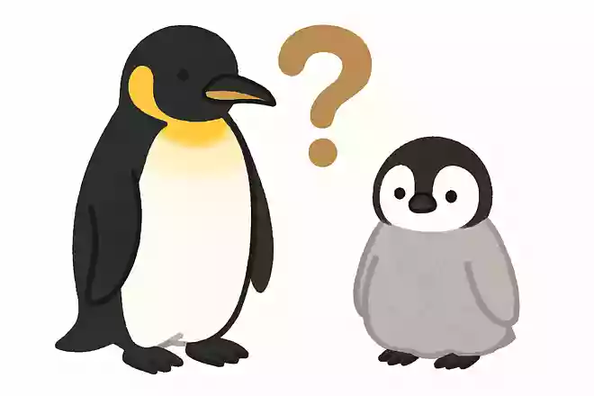 ペンギンの平均寿命は?