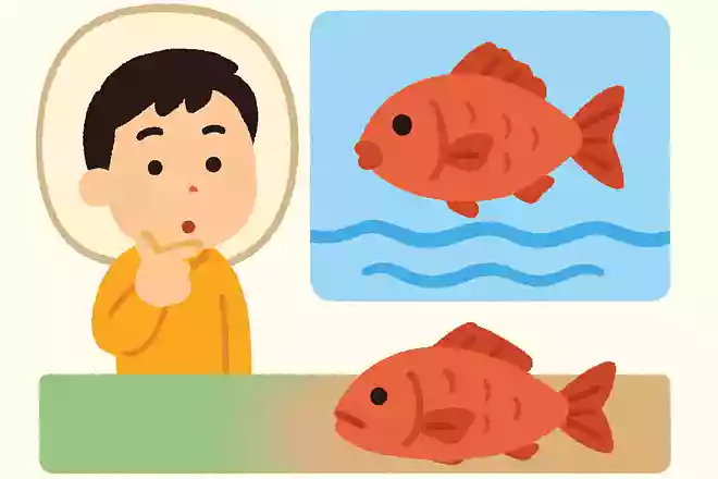 魚は水の中にしかいない。○か×か?