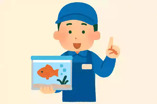 水族館のスタッフ