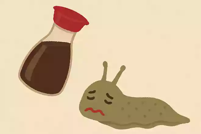 塩以外にナメクジがかけられると、縮んでしまう調味料はなんでしょうか?