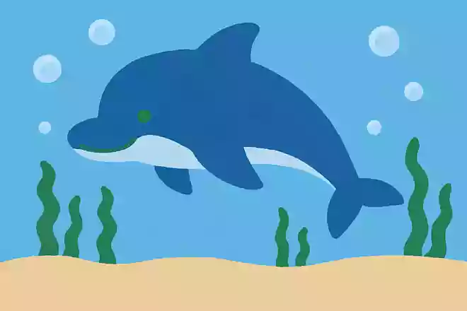 イルカの泳ぐ最高速度はどのくらい？